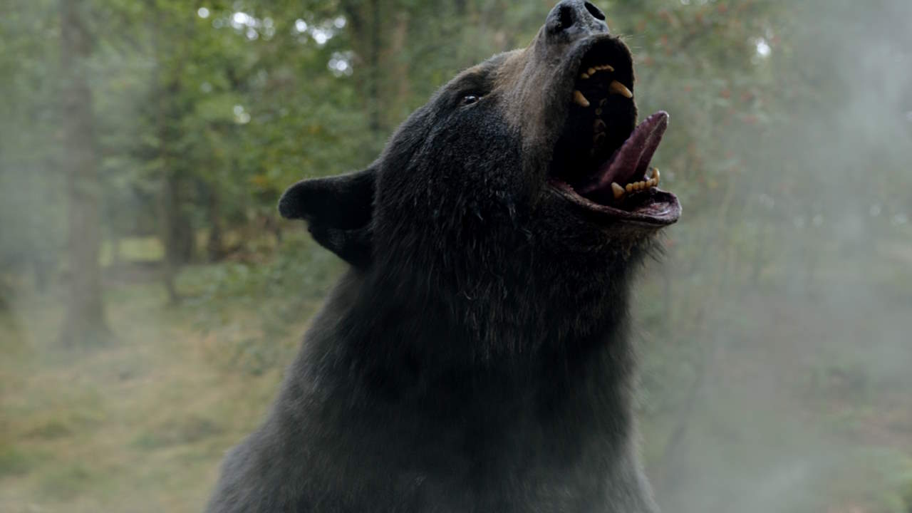 Oso vicioso - Universal Pictures