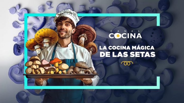 La cocina magina de las setas