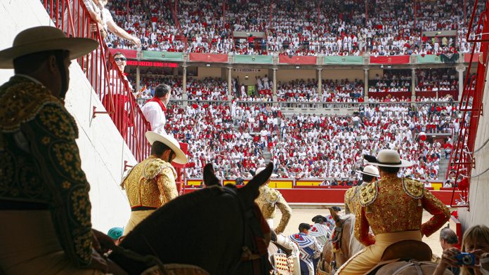 pamplona one toro