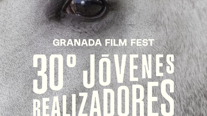 Festival Jóvenes Realizadores