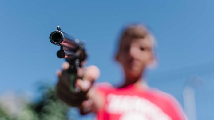 armas en eeuu