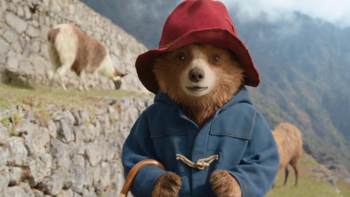 paddingtonenlaselva