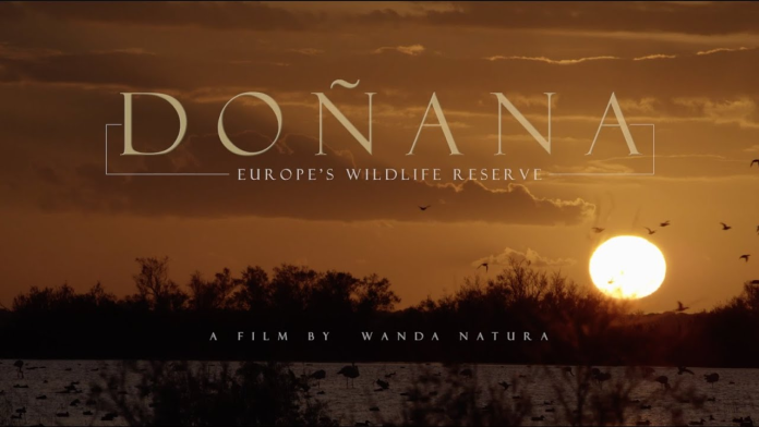 Doñana - Wanda Visión