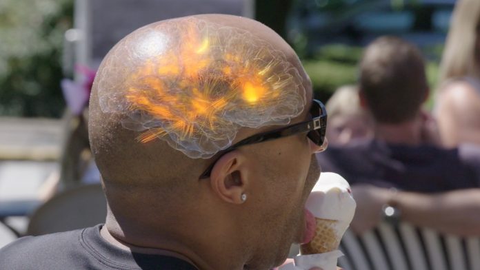 'El poder del cerebro' (Odisea)