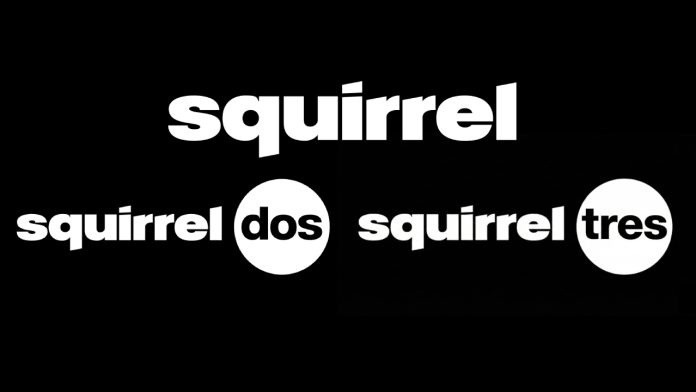 squirrel_canales