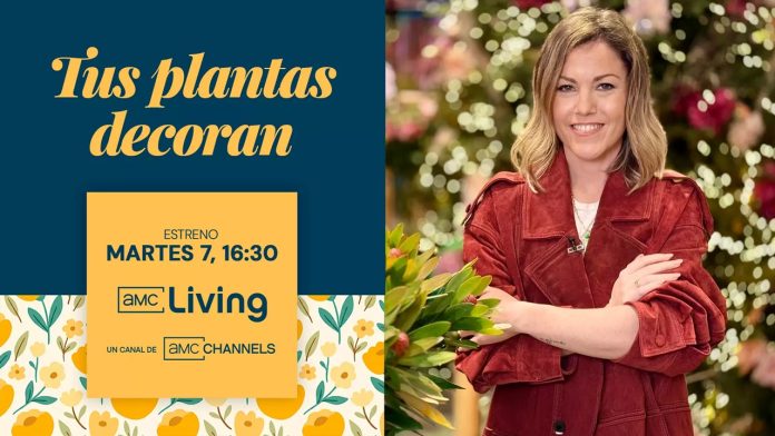 tus plantas decoran