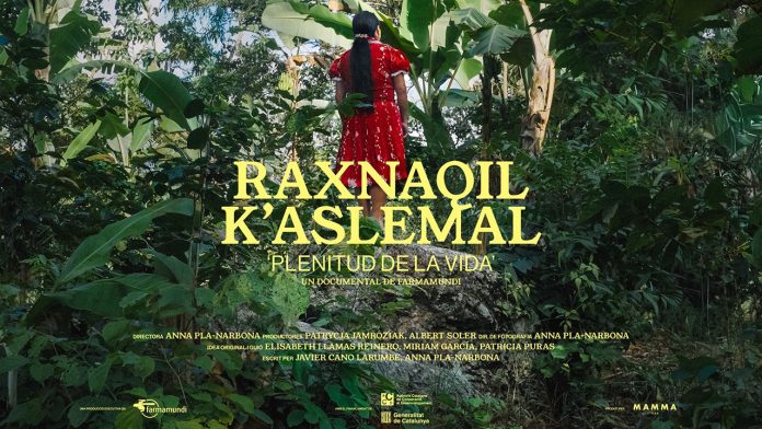 Raxnaquil-K-aslemal-Plenitud-de-la-vida-Farmamundi-web