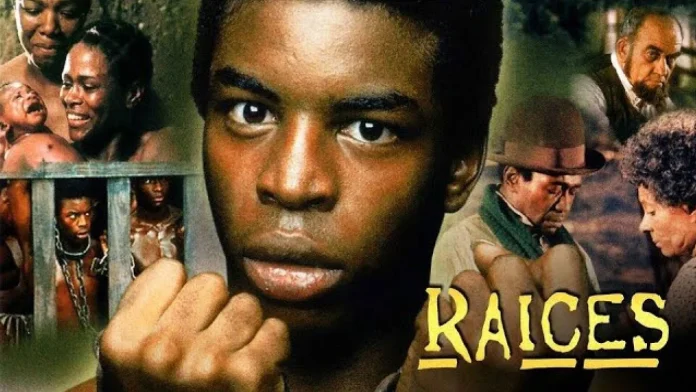 Raíces - VinTV